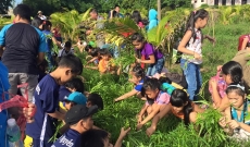 Tân Chánh Hiệp Thiếu nhi học làm Bác nông dân