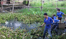  đoàn viên thanh niên ra quân hưởng ứng Ngày chủ nhật xanh