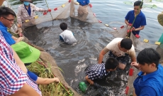 Tân Thới Hiệp Hành trình trải nghiệm một ngày làm nông dân và trại hè thiếu nhi năm 