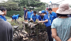 Đông Hưng Thuận Hưởng ứng Ngày chủ nhật xanh