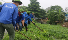 Ngày chủ nhật xanh 